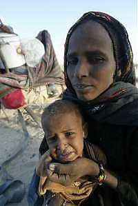 <B>La Fao ammette il fallimento<br>"La fame nel mondo aumenta"</B>