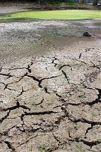<B>Allarme del Wwf: "Un pianeta non basta<br>Entro il 2050 risorse insufficienti"</B>